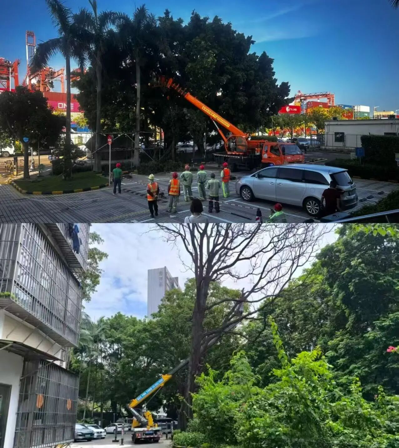 1762138239550097.jpg 微信图片_2025-11-03_104833_746.jpg