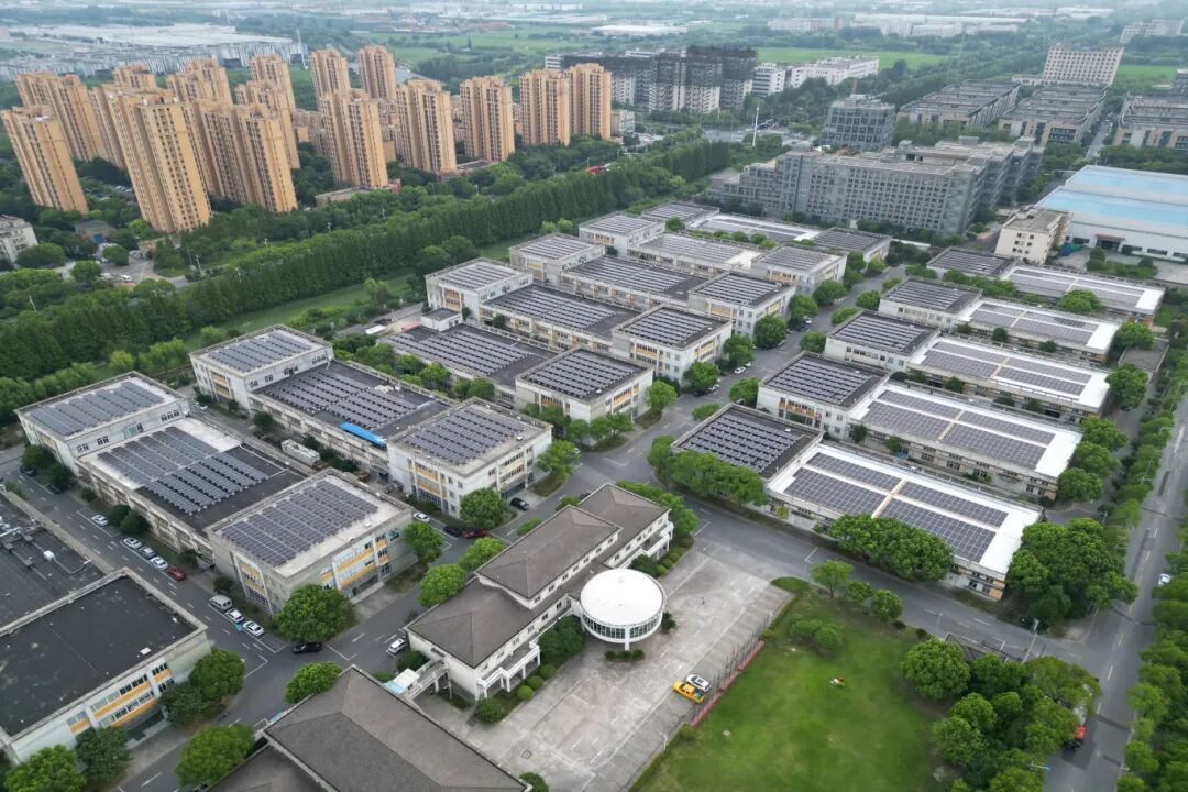 1764659392750384.jpg 6401.jpg